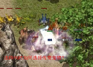 ��ʦPKʱ���ѡ������