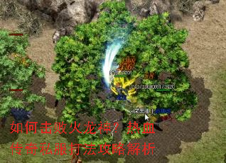 ��λ��ܻ�������Ѫ����˽���򷨹��Խ���