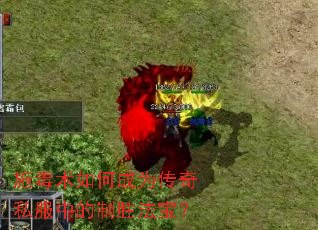 ʩ������γ�Ϊ����˽���е���ʤ������