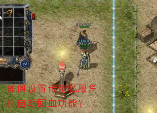 ������ô���˽����ɫ�Զ���Ѫ���ܣ�