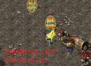 如何解封时尚三国万兽谱的兽魂孔位? 如何解封时尚三国万兽谱的兽魂孔位?