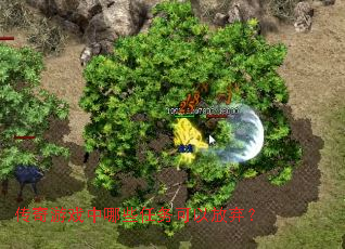 ������Ϸ����Щ������Է�����