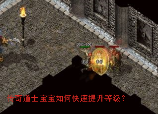 传奇道士宝宝如何快速提升等级? 传奇道士宝宝如何快速提升等级?