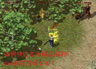 ��ο��ٻ��ܳ�������boss��ȡ����װ����