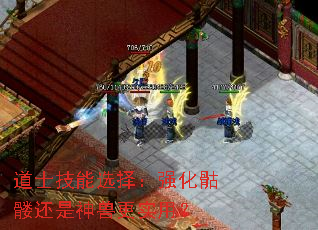 道士技能选择:强化骷髅还是神兽更实用? 道士技能选择:强化骷髅还是神兽更实用?