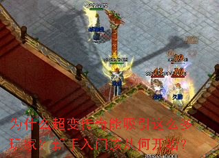 Ϊʲô���䴫����������ô����ң��������ŸôӺο�ʼ��