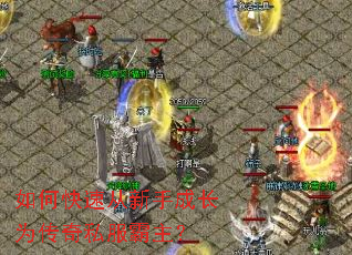 如何快速从新手成长为传奇私服霸主? 如何快速从新手成长为传奇私服霸主?