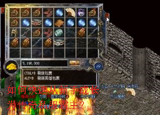 如何快速从新手成长为传奇私服霸主? 如何快速从新手成长为传奇私服霸主?