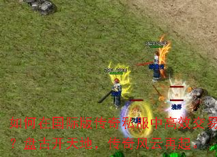 ����ڹ��ʰ洫��˽���и�Ч���ף��̹ſ���أ������������