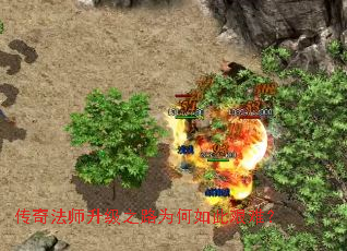 ���淨ʦ����֮·Ϊ����˼��ѣ�