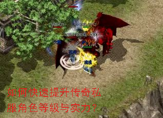 ��ο�����������˽����ɫ�ȼ���ʵ����