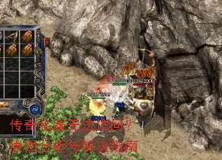 ����˽���޷����ʣ�ԭ���������ָ��