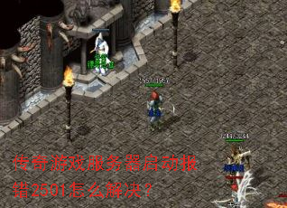 ������Ϸ��������������2501��ô�����