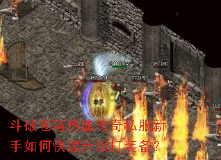 ���Ʋ����Ѫ����˽��������ο���������װ����