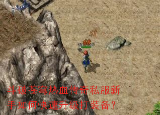 ���Ʋ����Ѫ����˽��������ο���������װ����