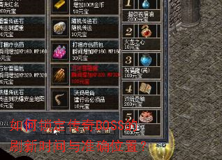 �����������BOSS��ˢ��ʱ����׼ȷλ�ã�