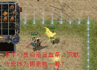 ����������ʾ��Ѫ������Ĭ����PKΪ�θ�ʤһ�