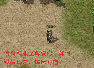 传奇私服至尊诀窍:如何纵横玛法,挥斥方遒? 传奇私服至尊诀窍:如何纵横玛法,挥斥方遒?