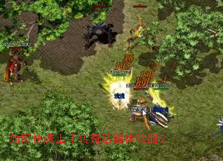 ��ο������ִ���˽���������