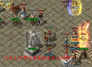 Ϊʲô������Ϸ�ܴ���ְҵ��ң�