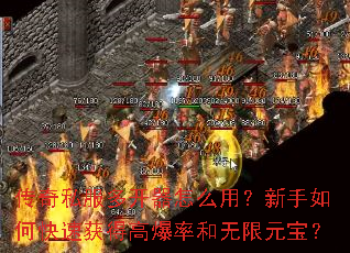 ����˽���࿪����ô�ã�������ο��ٻ�ø߱��ʺ�����Ԫ����