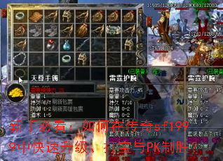 ���ֱؿ�������ڴ���sf1999�п�������������PK��ʤ��