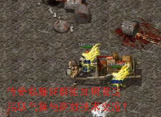 传奇私服SF群组如何营造活跃气氛与高效技术交流? 传奇私服SF群组如何营造活跃气氛与高效技术交流?