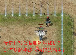 ����1.76�������ʤ�ؾ�����δ����ֳɳ�Ϊ�귨������