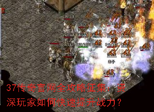 37�������ȫ�������������������ο�������ս����