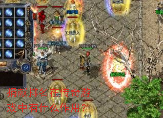 ���������ڴ�����Ϸ����ʲô���ã�