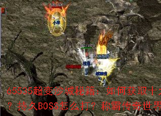 65535����ɳ���ؼ�����λ�ȡʮ���������־�BOSS��ô�򣿳ưԴ�������ȫ����