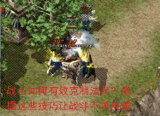 սʿ�����Ч���Ʒ�ʦ��������Щ������ս�����ټ���