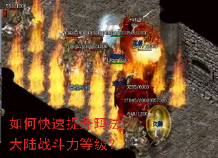 ��ο��������귨��½ս�����ȼ���