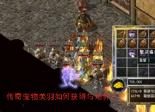 传奇宠物关羽如何获得与培养? 传奇宠物关羽如何获得与培养?