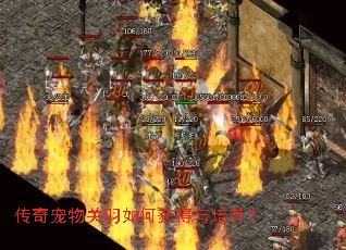 传奇宠物关羽如何获得与培养? 传奇宠物关羽如何获得与培养?