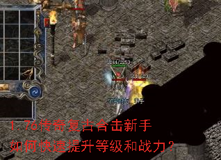 1.76���渴�źϻ�������ο��������ȼ���ս����