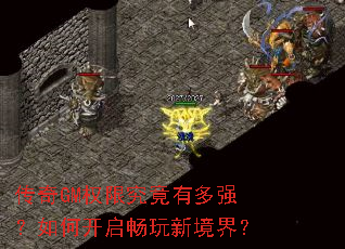 ����GMȨ�޾����ж�ǿ����ο��������¾��磿